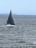 Black Sails on Narragansett Bay